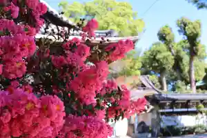 三津厳島神社(愛媛県)(2024年09月19日(木) 09時27分15秒投稿)