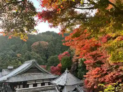 柳谷観音　楊谷寺(京都府)