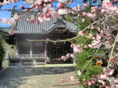甲八幡神社のその他建物