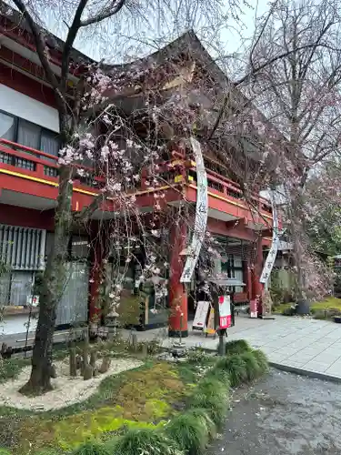 秩父神社(埼玉県)