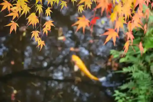 武蔵寺(福岡県)