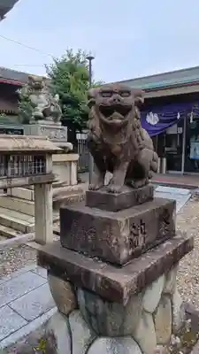 本土神社の狛犬