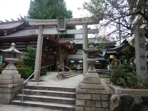 白龍神社の鳥居