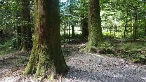 霧島神宮(鹿児島県)