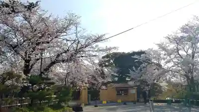 大覚寺のその他建物