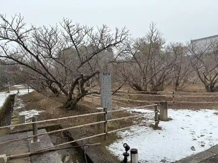仁和寺の{uncategorized: "未分類", other: "その他", undefined: "問題あり", building: "その他建物", grave: "お墓", sacred_gate: "鳥居", guardian: "狛犬", statue: "像", buddha: "仏像", history: "歴史", nature: "自然", garden: "庭園", animal: "動物", pagoda: "塔", temizu: "手水舎", mountain_gate: "山門・神門", sanctuary: "本殿・本堂", subordinate: "末社・摂社", art: "芸術", scenery: "景色", jizo: "地蔵", ema: "絵馬", goshuin: "御朱印", omikuji: "おみくじ", items: "授与品その他", amulet: "お守り", goshuincho: "御朱印帳", eats: "食事", festival: "お祭り", votive_dance: "神楽", shichigosan: "七五三参", wedding: "結婚式", experience: "体験その他", initially: "初詣", around: "周辺", anti_infection: "感染症対策"}