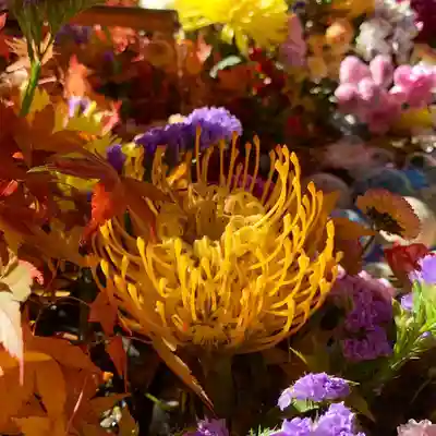 滑川神社 - 仕事と子どもの守り神の手水舎