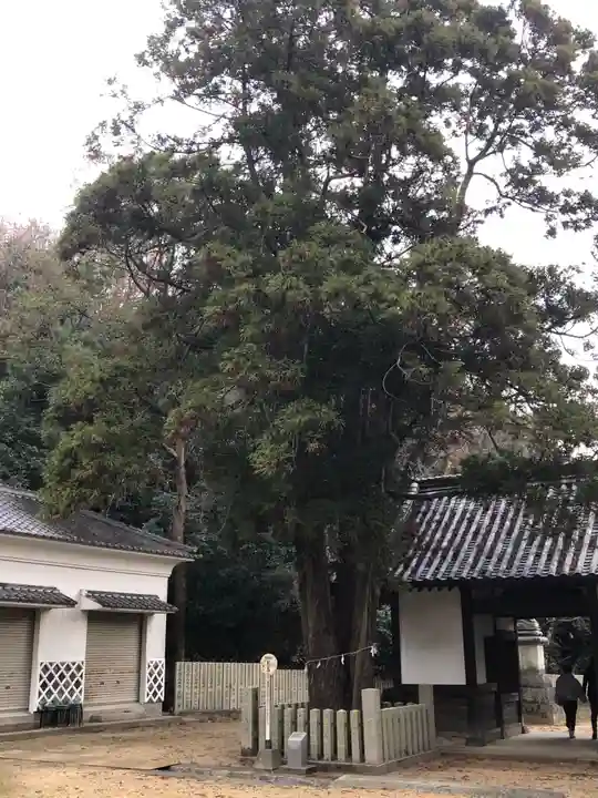飯神社のその他建物