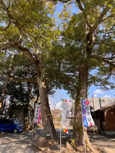 大宮・大原神社のその他建物