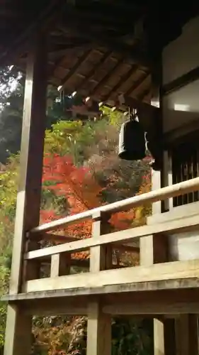 横蔵寺の建物その他