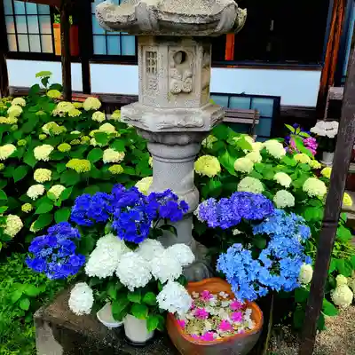 極楽寺(静岡県)
