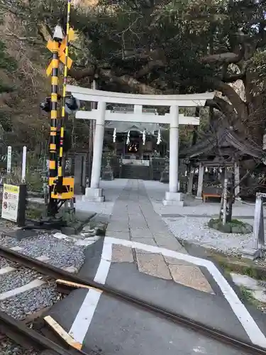 御霊神社の鳥居