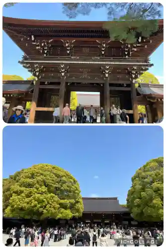 明治神宮(東京都)