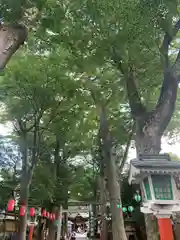 田無神社(東京都)