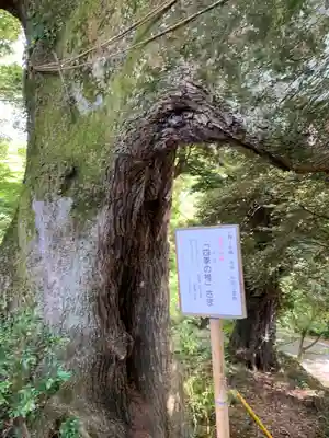 椎尾山薬王院(茨城県)