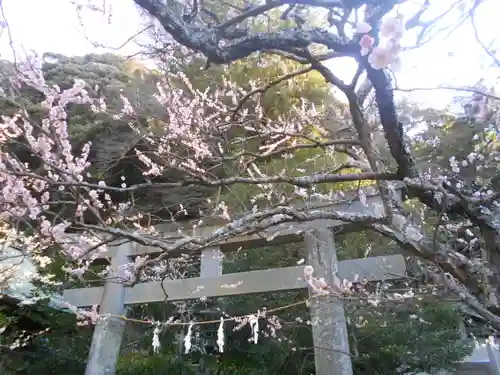 荏柄天神社の鳥居