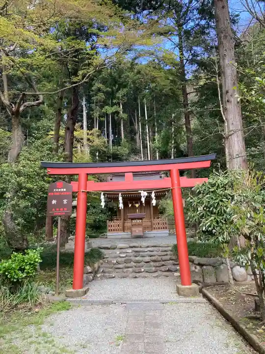 新宮神社(今宮)(神奈川県)