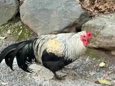 熱田神宮(愛知県)