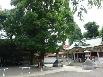 荻窪白山神社のその他建物