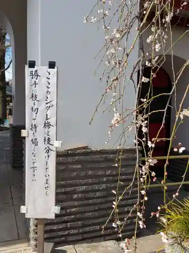 成願寺(東京都)
