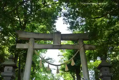 篠原八幡神社の鳥居
