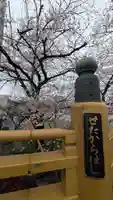 龍王宮秀郷社(橋守神社)(滋賀県)