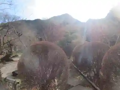 長泉院(埼玉県)