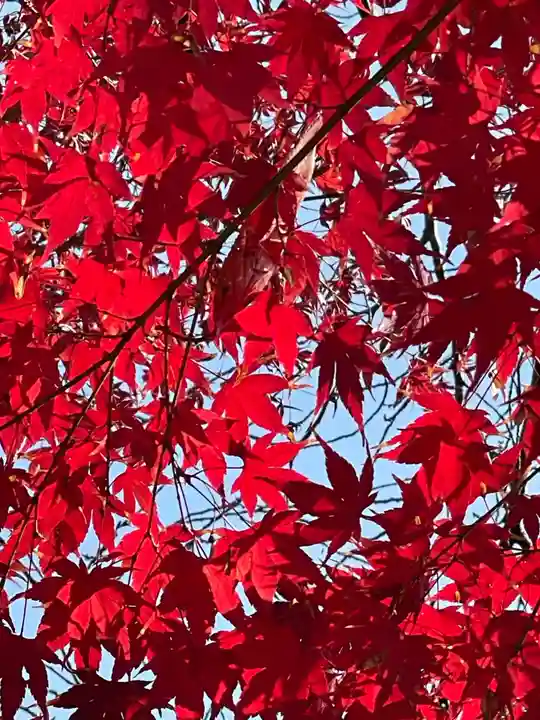 円常院(圓常院) enjoyntemple(京都府)