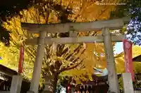 小金八坂神社(千葉県)