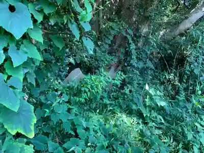 鳳凰大神(千葉県)