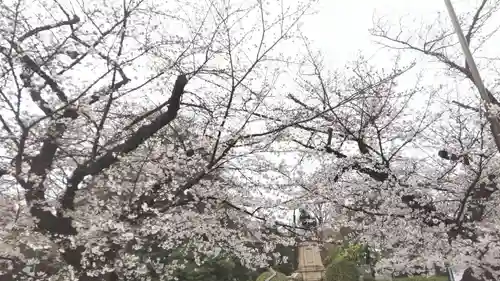 相国寺（相国承天禅寺）(京都府)