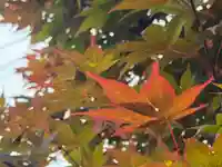 西方山極楽寺(岐阜県)