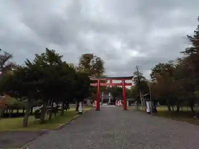 北海道護國神社の鳥居