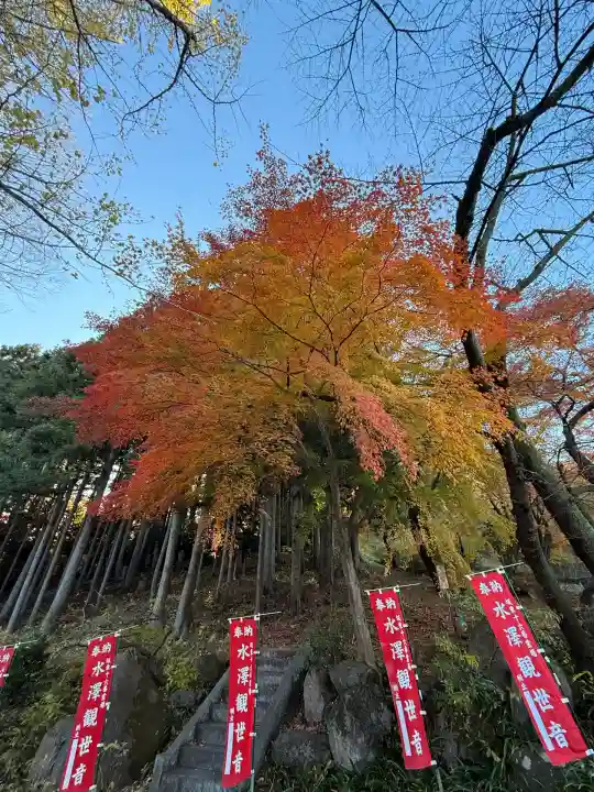 水澤寺(水澤観世音)(群馬県)