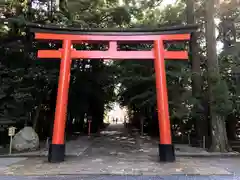 霧島神宮の鳥居