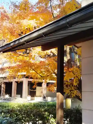 宝勝山　南藏院   蓮光寺の庭園