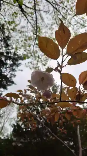 相馬神社(北海道)