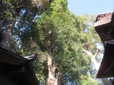 栗木神社(神奈川県)