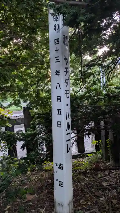 札幌諏訪神社の自然