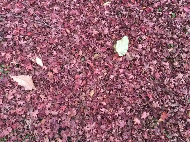 南湖神社の自然