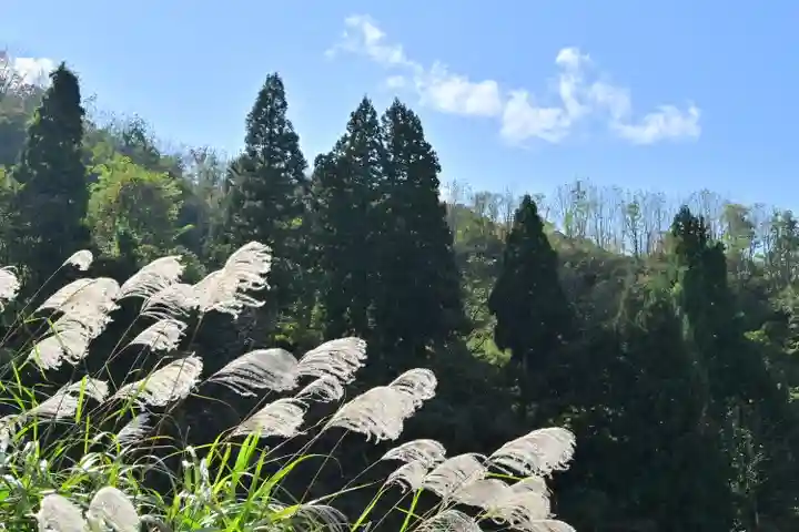 高龍神社 奥之院(新潟県)