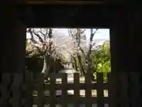 極楽寺(霊鷲山感應院極楽律寺)の景色