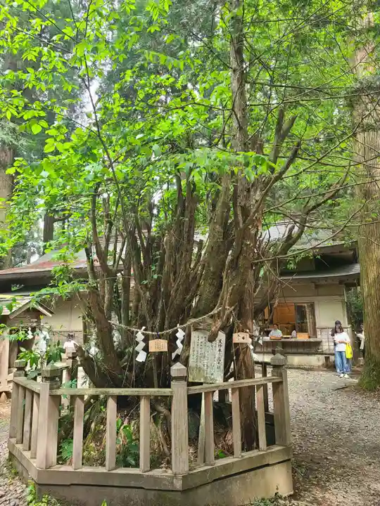 幣立神宮(熊本県)