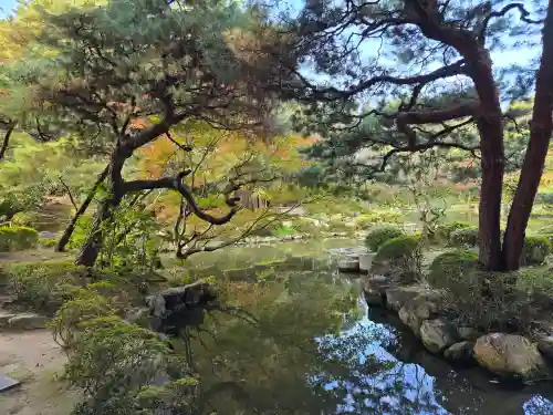 平安神宮(京都府)