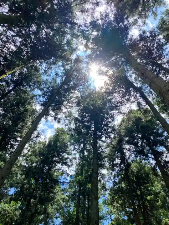 山宮浅間神社の自然