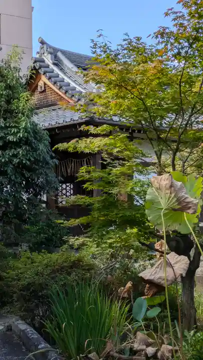香雪院(京都府)