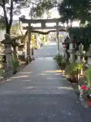 東海市熊野神社の鳥居