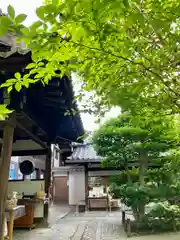 退蔵院の建物その他