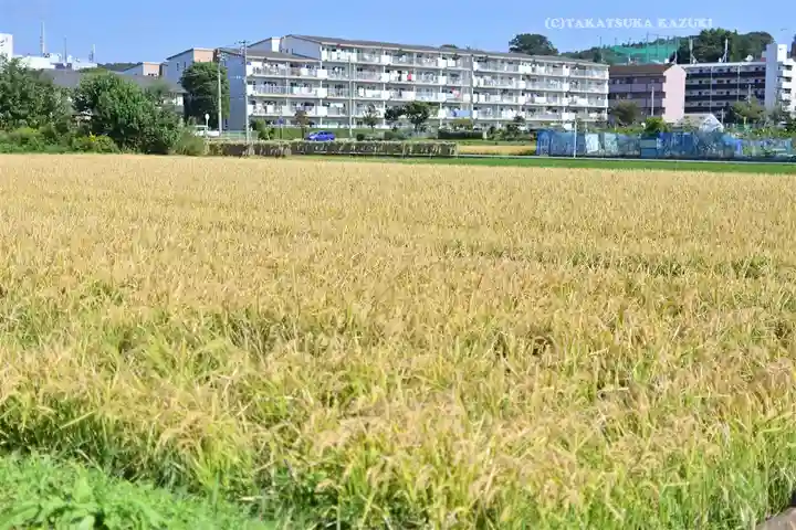 鈴鹿明神社(神奈川県)