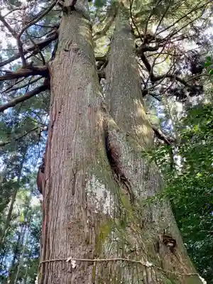 黒瀧神社(三重県)
